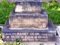 Harry Shaw War
